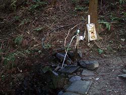 ごっくん水3