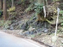 石小土の水