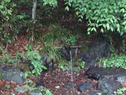 出会いの丘・湧き水