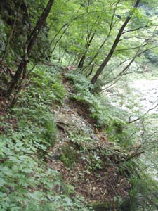 木ノ俣川の湧き水
