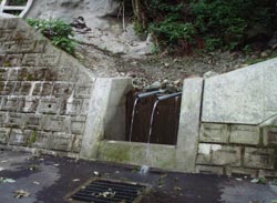 深山湖の湧き水