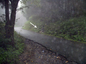 大野林道の湧き水