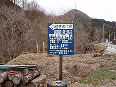 芹沢源造岩清水1