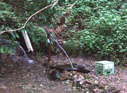 矢沢の湧き水2