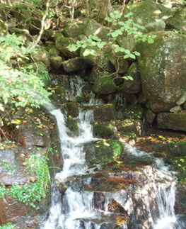 足尾の湧き水