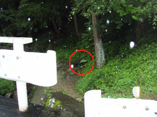 山恵水1
