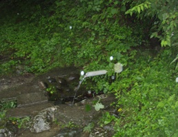 山恵水2