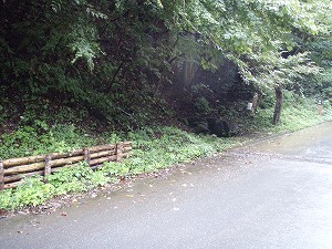 八日見神水1