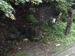 八日見神水